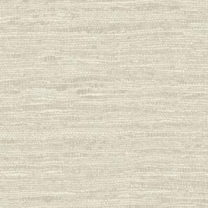 tapeta obiektowa Tussah Silk 68011 beż szaro-beżowy jasny greige tussah