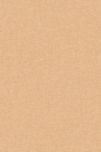 Tapeta Belgian Linen_67921 Tło w kolorze jasnym brzoskwiniowym łososiowym beżowym. Ciepły pomarańczowy beż.
