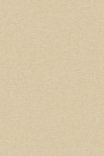 Tapeta_BelgianLinen_67911 Tło w kolorze jasnym piaskowym beżowym ciepłym. Melanż len. Jasny złoty beż.