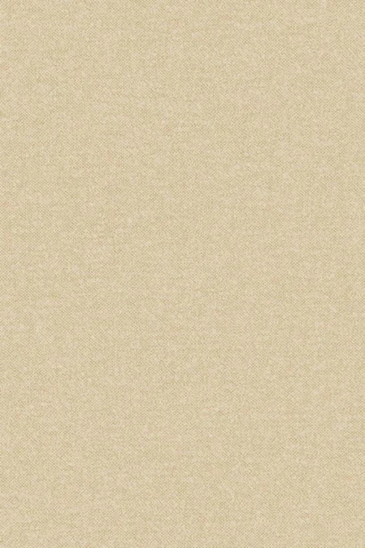 Tapeta_BelgianLinen_67911 Tło w kolorze jasnym piaskowym beżowym ciepłym. Melanż len. Jasny złoty beż.