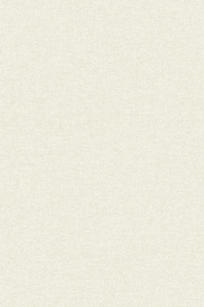 Tapeta_BelgianLinen_67910 Tło w kolorze bardzo jasnym kremowym off-white ecru. Prawie biały ciepły. Drobny melanż lnu belgijskiego.