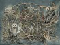 Avera Art. 500 32 2102.jpg