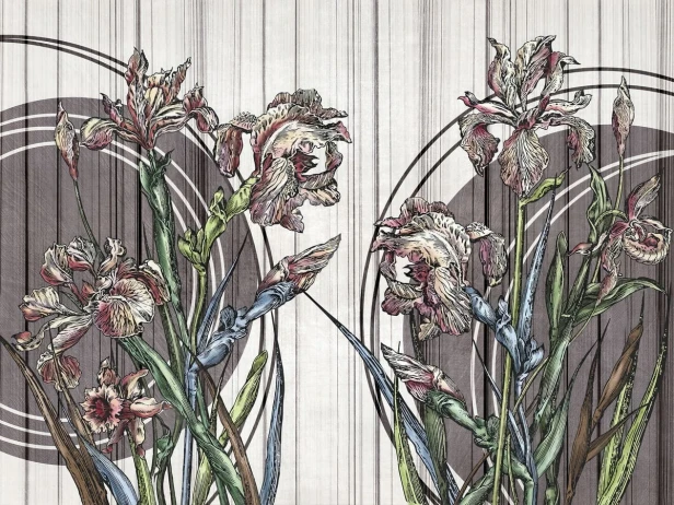 Clarri Art. 670 32 2202.jpg