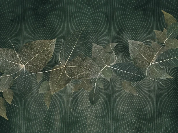 Blara Art.615 32 2201.jpg