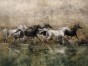 Reho 365 32 Tło ciepły beż z oliwką. Woda zielono-brązowa z odbiciem. Konie biało-kare. Klimat naturalny, spokojny
