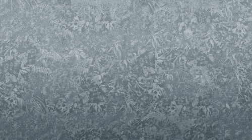 MU16049.jpg
