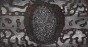 MU14096.jpg