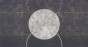 MU15066.jpg