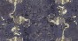 MU15080.jpg