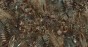 MU13014-LR.jpg