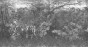 MU13033-LR.jpg