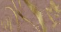 MU15078.jpg