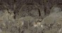 MU13023-LR.jpg