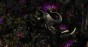 MU13026-LR.jpg