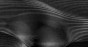 MU13086-LR.jpg