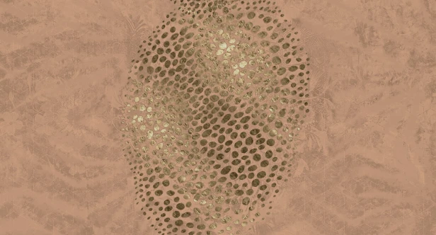 MU14057.jpg