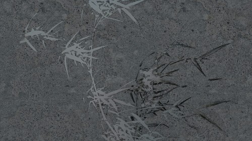 MU15006.jpg