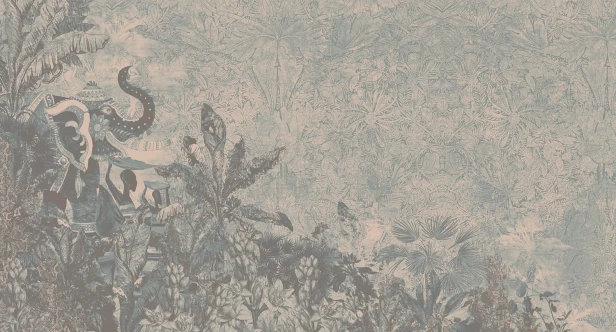 MU15017.jpg