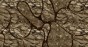 MU13056-LR.jpg