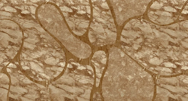 MU13057-LR.jpg
