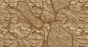 MU13057-LR.jpg