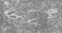 MU13096-LR.jpg
