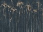 Alora art. 1025 32 2501.jpg