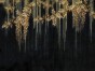 Aurum 940 31 2402.jpeg