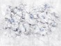 Blossin 1095 32 2501.jpg