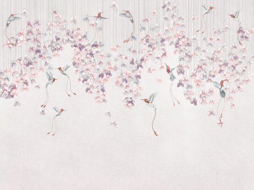 Colibris 975 32 2402.jpeg