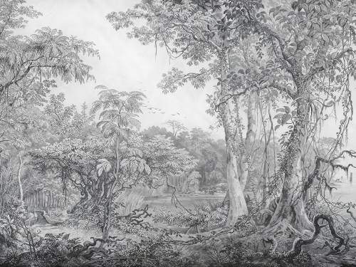 Foresta 965 32 Tusz czarno-szary grafitowy klasyczny jak stara rycina, bardziej archiwalny