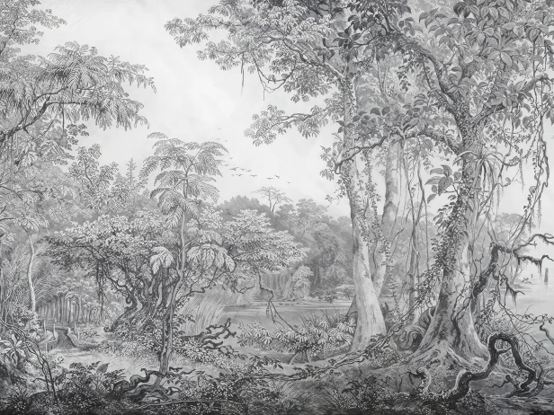 Foresta 965 32 Tusz czarno-szary grafitowy klasyczny jak stara rycina, bardziej archiwalny