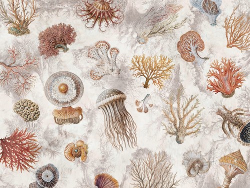 Oceana 1055 31 Tło w kolorze kremowo-beżowym. Tło cieni w kolorze jasnoszarym. Koralowce w kolorze rudym i pomarańczowym. Meduzy w kolorze białym, beżowym i szarym. Muszle w kolorze beżowym