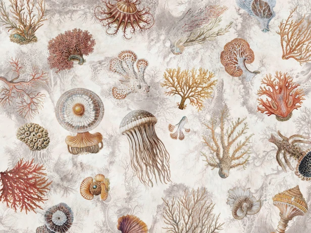 Oceana 1055 31 Tło w kolorze kremowo-beżowym. Tło cieni w kolorze jasnoszarym. Koralowce w kolorze rudym i pomarańczowym. Meduzy w kolorze białym, beżowym i szarym. Muszle w kolorze beżowym