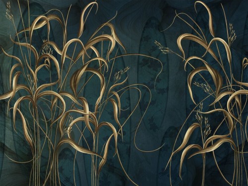 Bonetti art. 840 32 2401.jpg