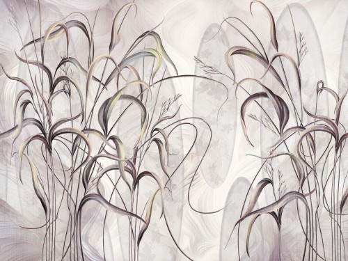 Bonetti art. 840 31 2401.jpg