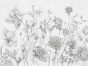 Brandi Art. 740 31 2301.jpg