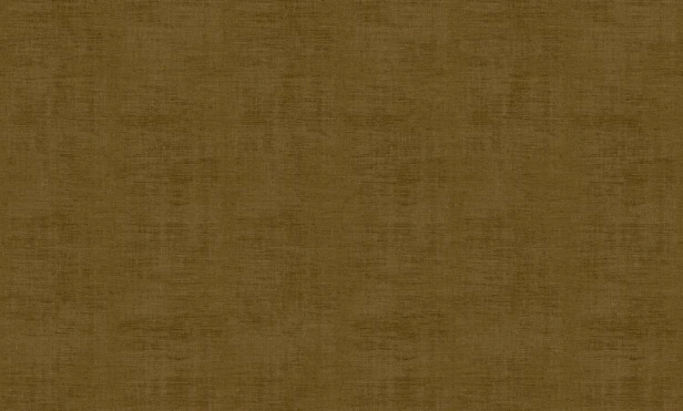 91681018 Ziemisty oliwkowo-brązowy o khaki nucie i matowej, welurowej strukturze.