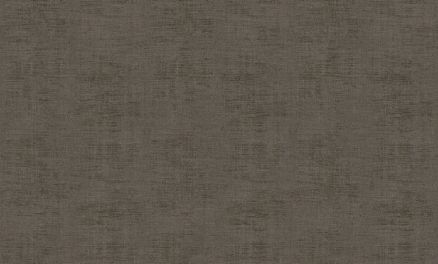 91681031 Ciemny grafitowy szary o ciepłej taupe nucie i miękkim cieniowaniu.