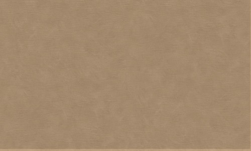 91820242 Średni brązowo-beżowy o ciepłej nucie taupe i miękkim cieniowaniu.