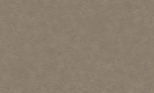 91821082 Średni brązowo-szary taupe o ziemistej nucie i miękkim cieniowaniu.