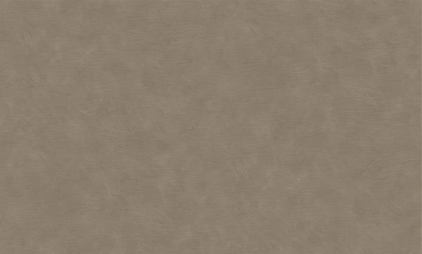 91821082 Średni brązowo-szary taupe o ziemistej nucie i miękkim cieniowaniu.