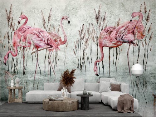 Fototapeta Fenicottero flamingi różowe w 4 kolorach tła