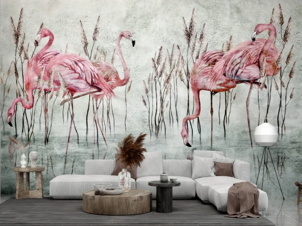 Fototapeta Fenicottero flamingi różowe w 4 kolorach tła