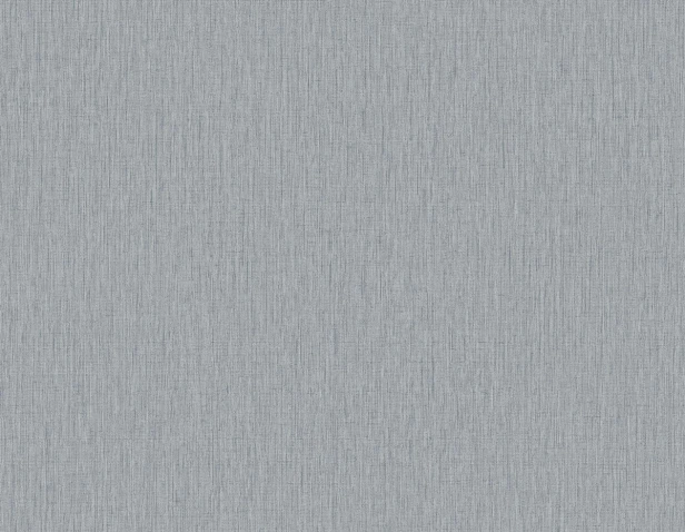 Tapeta QX50415 Tło w kolorze gołębiego szaro-błękitu, jasny chłodny szary z niebieskim odcieniem. Chłodny, minimalistyczny, idealny do biura.