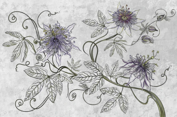 fototapeta Maraya TPA-0826-0213-00 passiflora fioletowa lawenda z oliwką na jasnym betonie