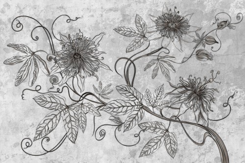fototapeta Maraya TPA-0826-0213-02 passiflora grafitowy brązowy szaro-brązowy na betonie