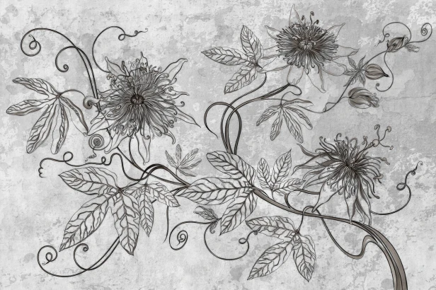 fototapeta Maraya TPA-0826-0213-02 passiflora grafitowy brązowy szaro-brązowy na betonie
