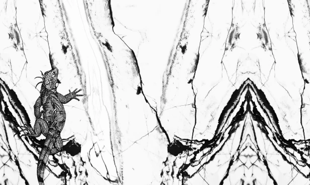 tapeta#1_tekstura_3000x5000.jpg