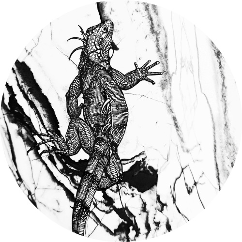 tapeta#1-koło.png